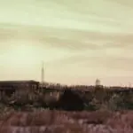 DayZ's New Year Spotlight Meets Player Frustration Over Bugs and Cheats