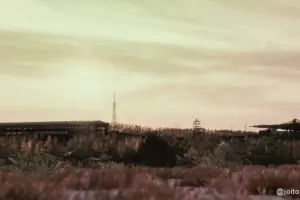 DayZ's New Year Spotlight Meets Player Frustration Over Bugs and Cheats