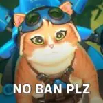 Overwatch 2's Jetpack Cat Sparks Wild Debate - To Ban or Not to Ban?