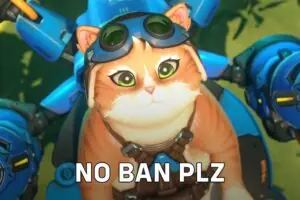 Overwatch 2's Jetpack Cat Sparks Wild Debate - To Ban or Not to Ban?