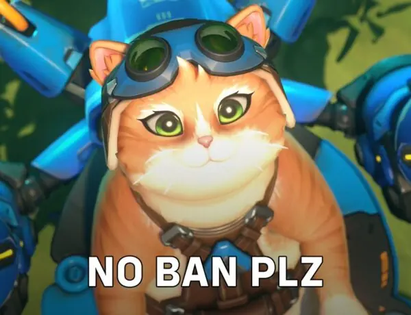 Overwatch 2's Jetpack Cat Sparks Wild Debate - To Ban or Not to Ban?