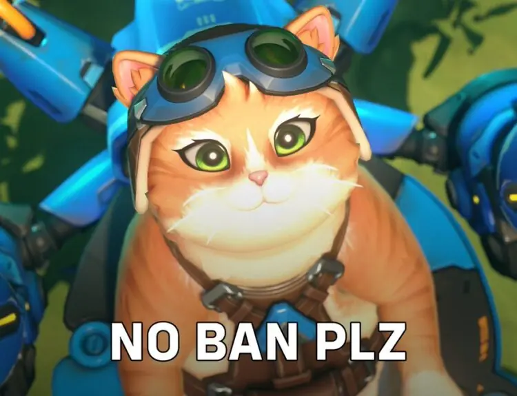 Overwatch 2's Jetpack Cat Sparks Wild Debate - To Ban or Not to Ban?