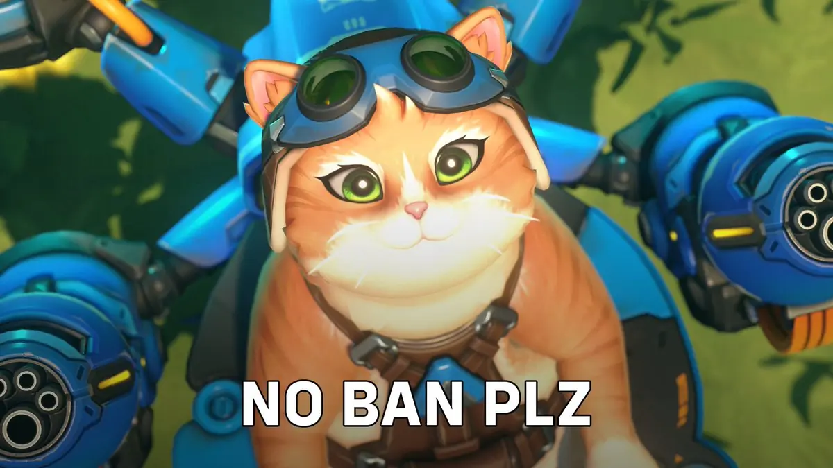 Overwatch 2's Jetpack Cat Sparks Wild Debate - To Ban or Not to Ban?