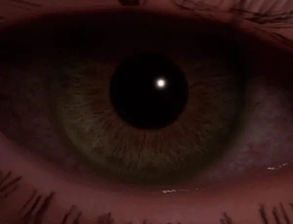 Demon Seed Gets Full Release With New Bosses and Multiplayer