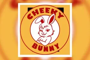 Solo Indie Dev Drops 'The Bankrupt Hero's Adventure' on Steam