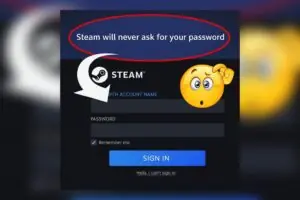 Steam Users Demand Answers as Two-Word Post Goes Viral