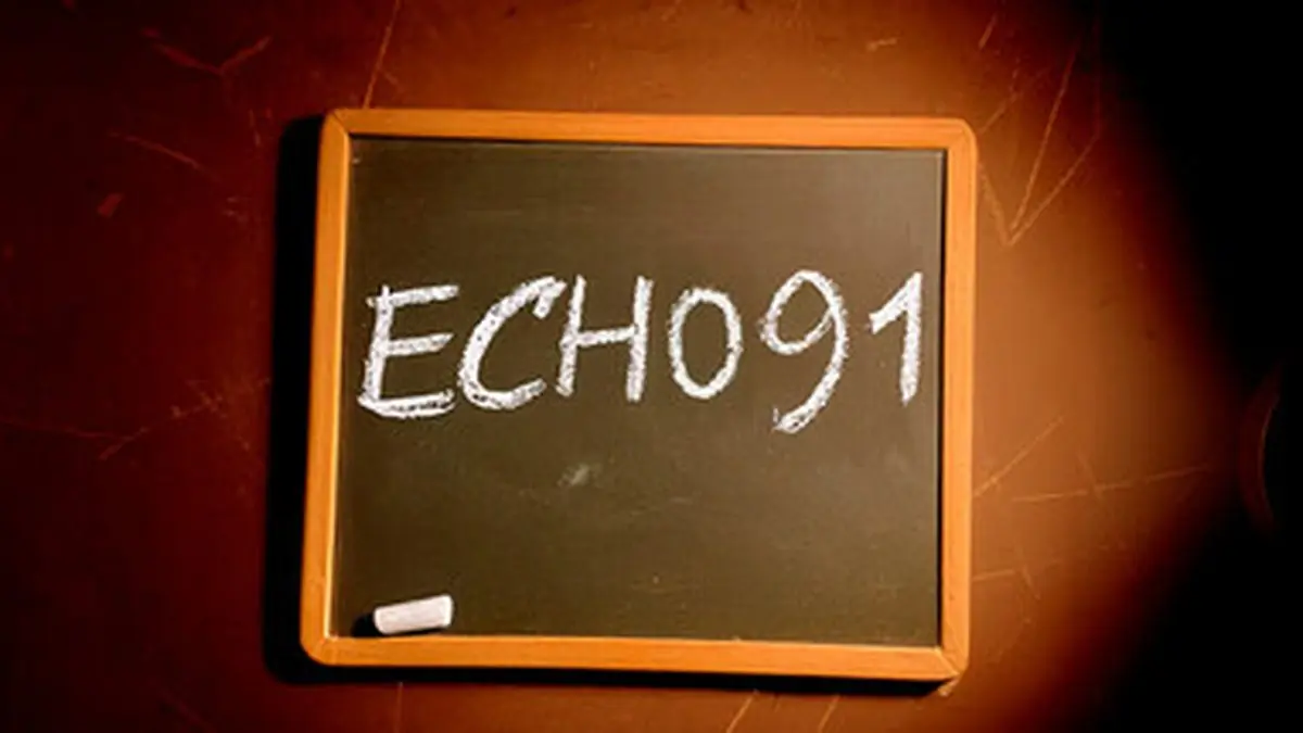 Echo 91 Fixes Chinese Translation Bug, Developer Apologizes
