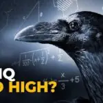 Epic's FNCS Ban Reversal Sparks Competitive Integrity Chaos