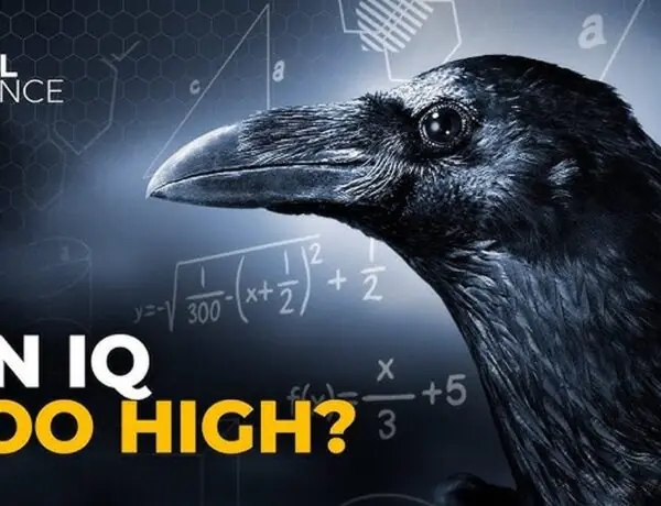 Epic's FNCS Ban Reversal Sparks Competitive Integrity Chaos