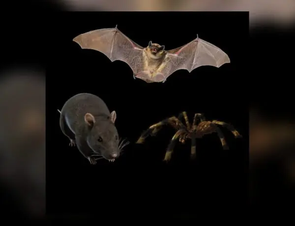 Every Gamer Knows These Annoying Enemies That Aren't Actually Threats