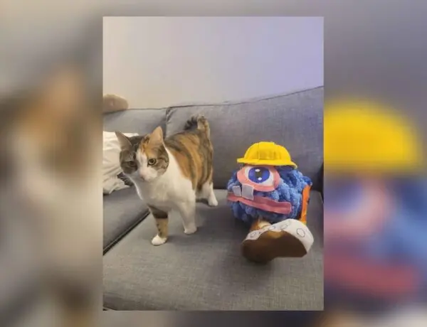 Gamer Creates World's Only Dr. Muto Plushie After Friend Beats Obscure GameCube Classic