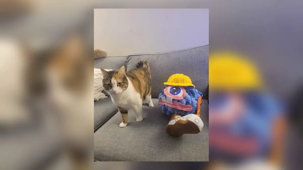 Gamer Creates World's Only Dr. Muto Plushie After Friend Beats Obscure GameCube Classic