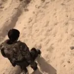 Gears 5 Player Stops Mid-Combat to Marvel at Perfect Snow Footprints