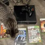 Guitar Hero Hardware Still Worth the Investment in 2026