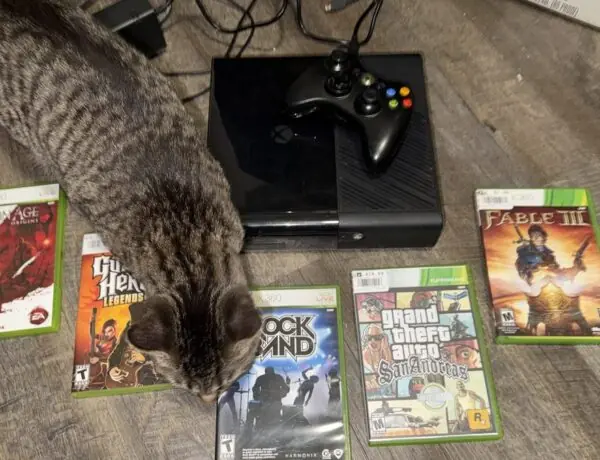 Guitar Hero Hardware Still Worth the Investment in 2026