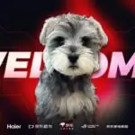 JD Gaming Adopts Adorable Puppy Duobao as Official Team Mascot