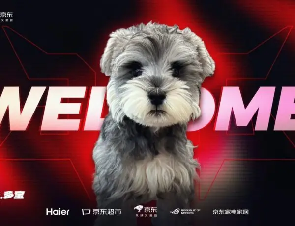 JD Gaming Adopts Adorable Puppy Duobao as Official Team Mascot