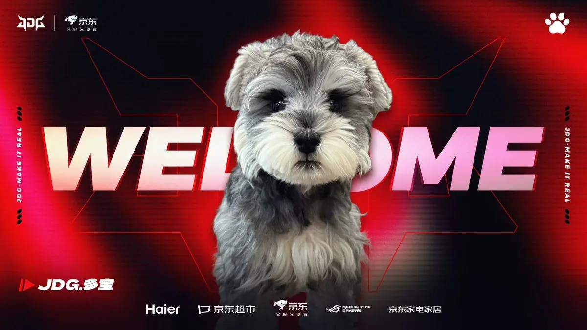 JD Gaming Adopts Adorable Puppy Duobao as Official Team Mascot